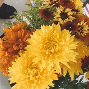 Meet your Posher, Elizabeth